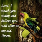 mygm-prayer-wallpaper8.jpg