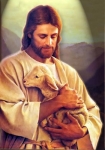jesus-christ (sheep).jpg